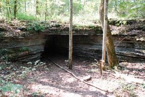 Sink Hole Trail Sink Hole